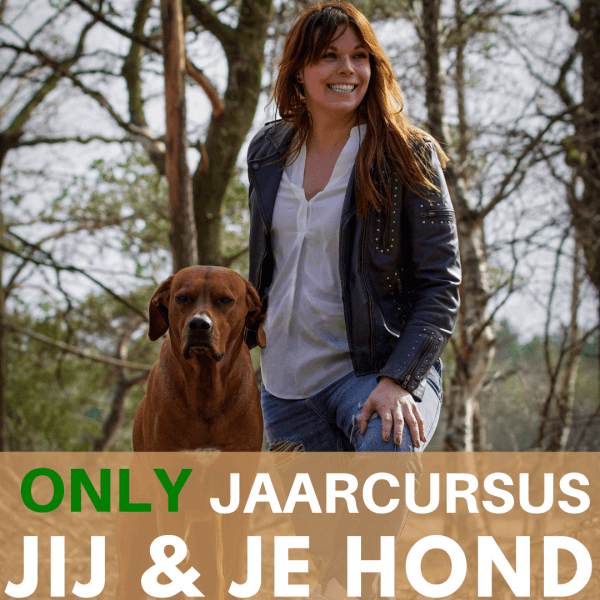 Only Jaarcursus JIJ & JE HOND - hondentraining MoVi Academy