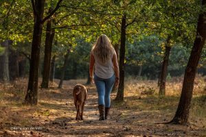 wandelen met hond in bosgebied