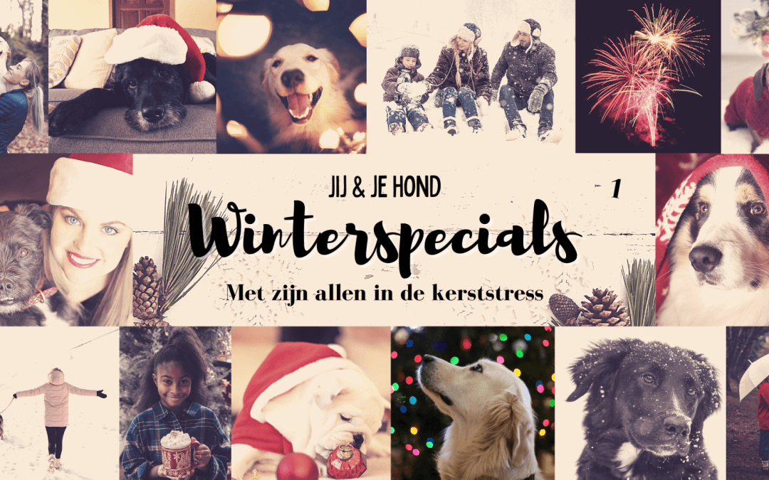 Jij en je hond winterspecial: Met z’n Allen In Kerststress