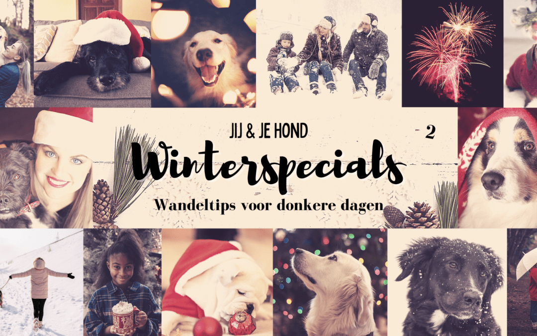 jij en je hond winterspecials 2: wandeltips voor donkere dagen