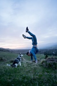energie in balans voor hond en baas