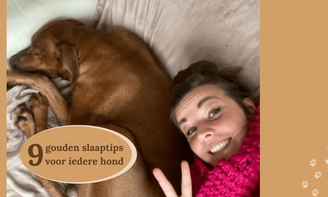 9 gouden slaaptips voor iedere hond