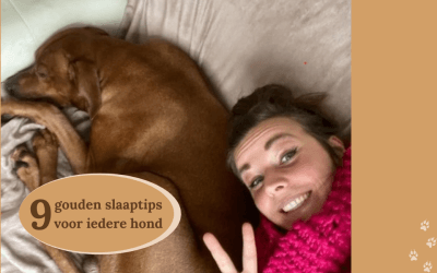 Negen extra slaaptips voor je hond