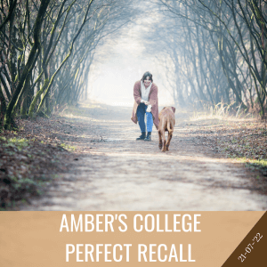 Ambers college - Perfect Recall product