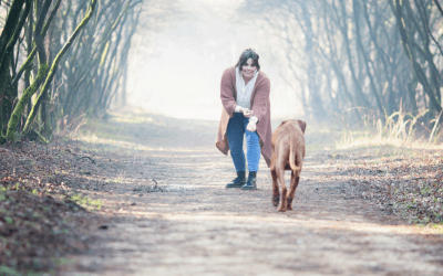 De 5 Perfect Recall stappen voor je hond