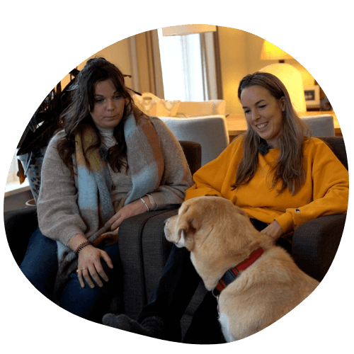 Leer je hond Bezoek Begroeten met de online cursus MoVi