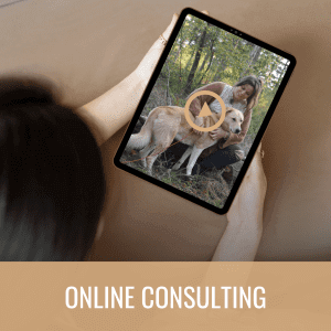 Online consulting Amber van Ommeren MoVi