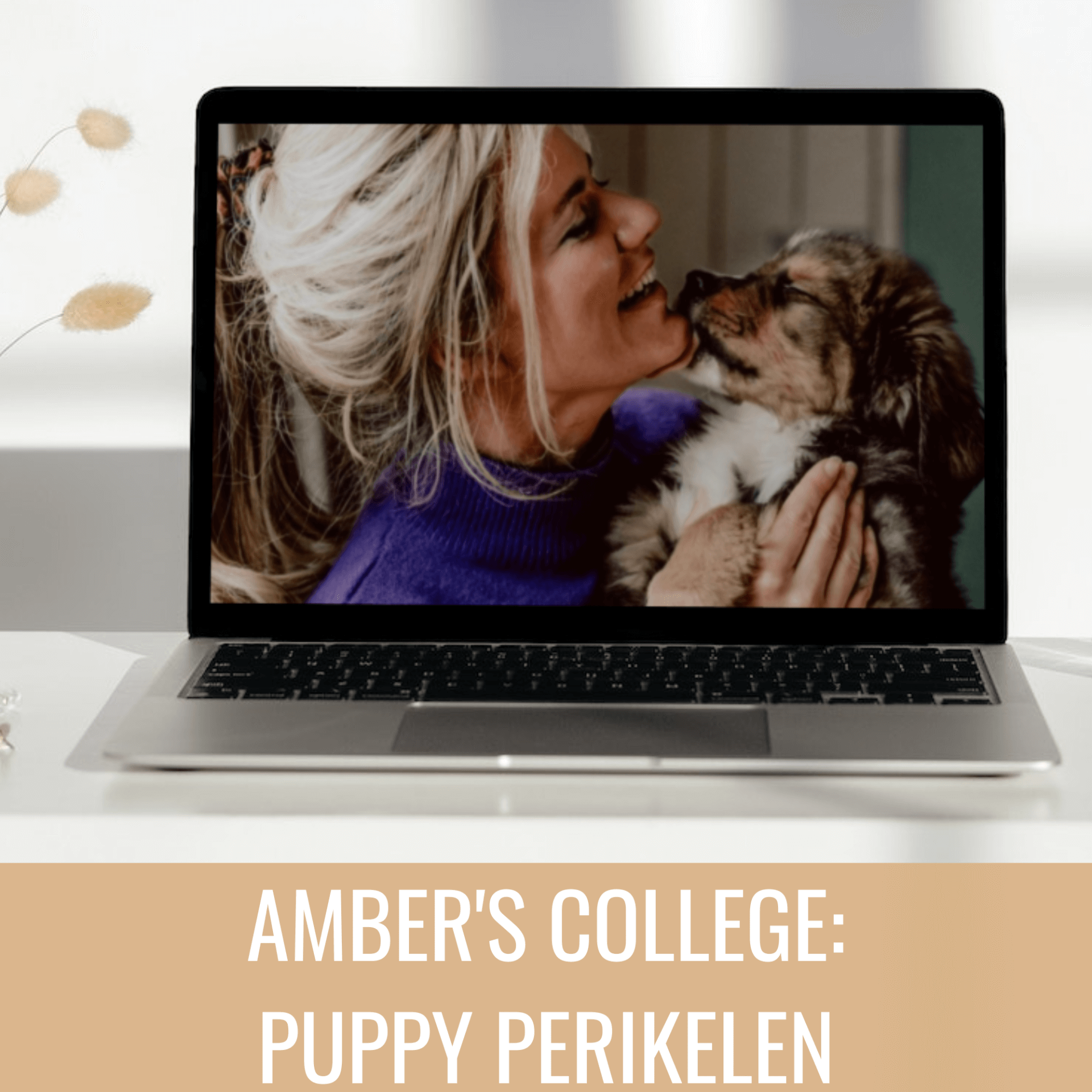 Puppy uitdagingen besproken tijdens het online college