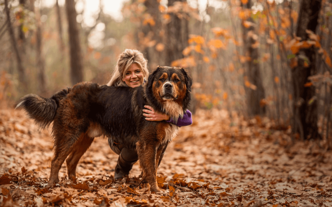 honden vrienden, maatjes, connectie