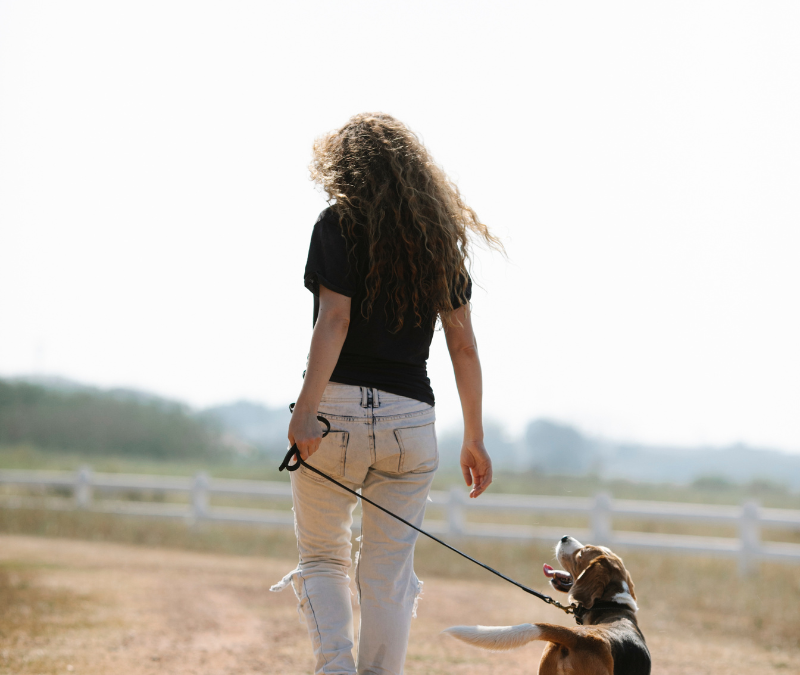Intuïtief leiderschap: de sleutel tot een sterke relatie met je hond