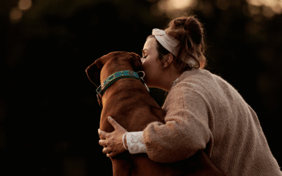 Resomeren: een liefdevol afscheid van je hond