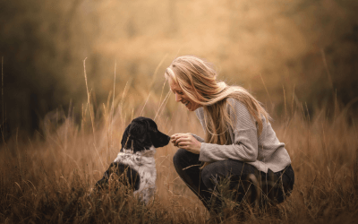 Uitvalgedrag bij honden: Tips & Trucs