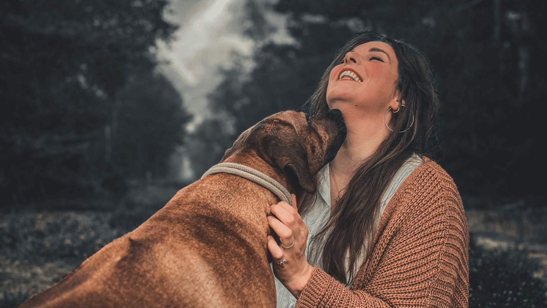 Titeren of vaccineren bij honden?