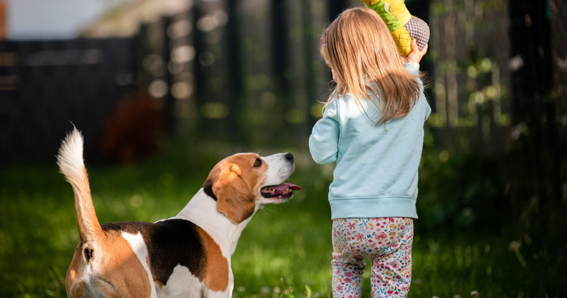 Kind en hond spelen