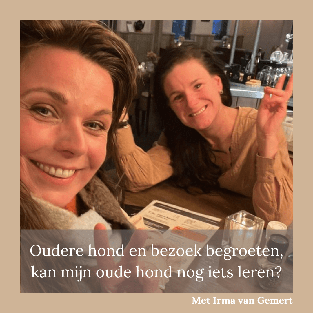 Amber's Podcast - Visite ontvangen