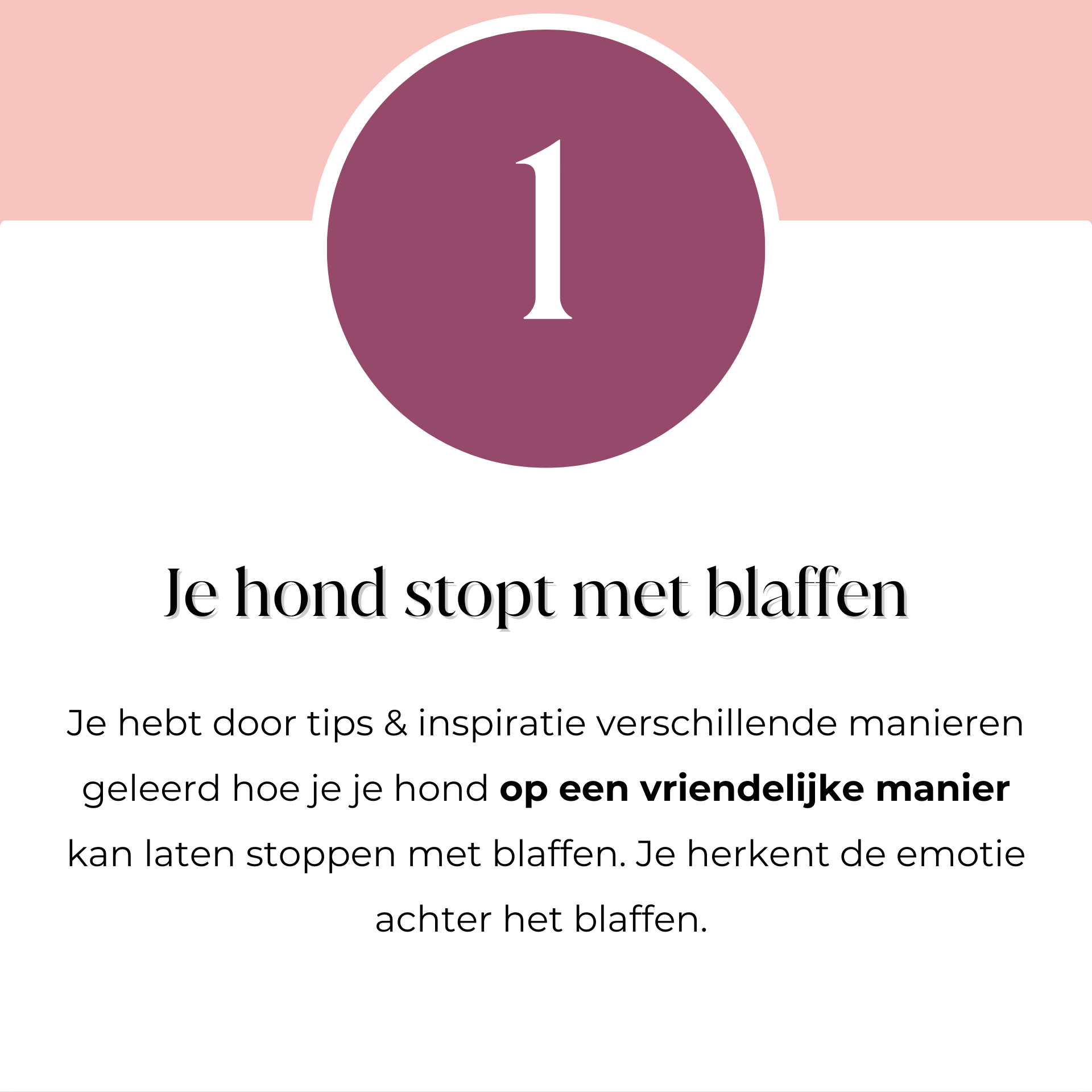 Je hond stopt met blaffen