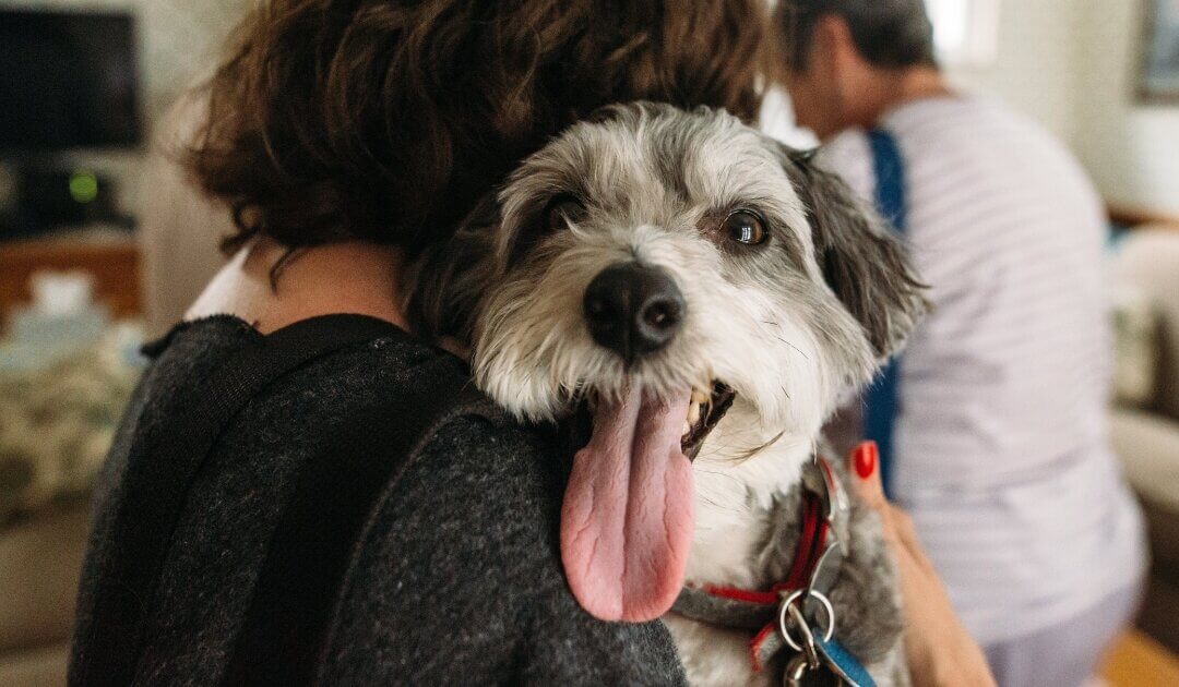 Hond & Bezoek: kortstondig snuffelen of écht contact maken met je bezoek, hoe zie je het verschil?