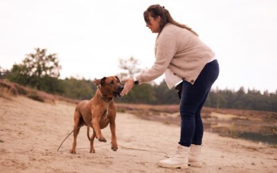 Hoe leer je je hond terugkomen? In 6 stappen.