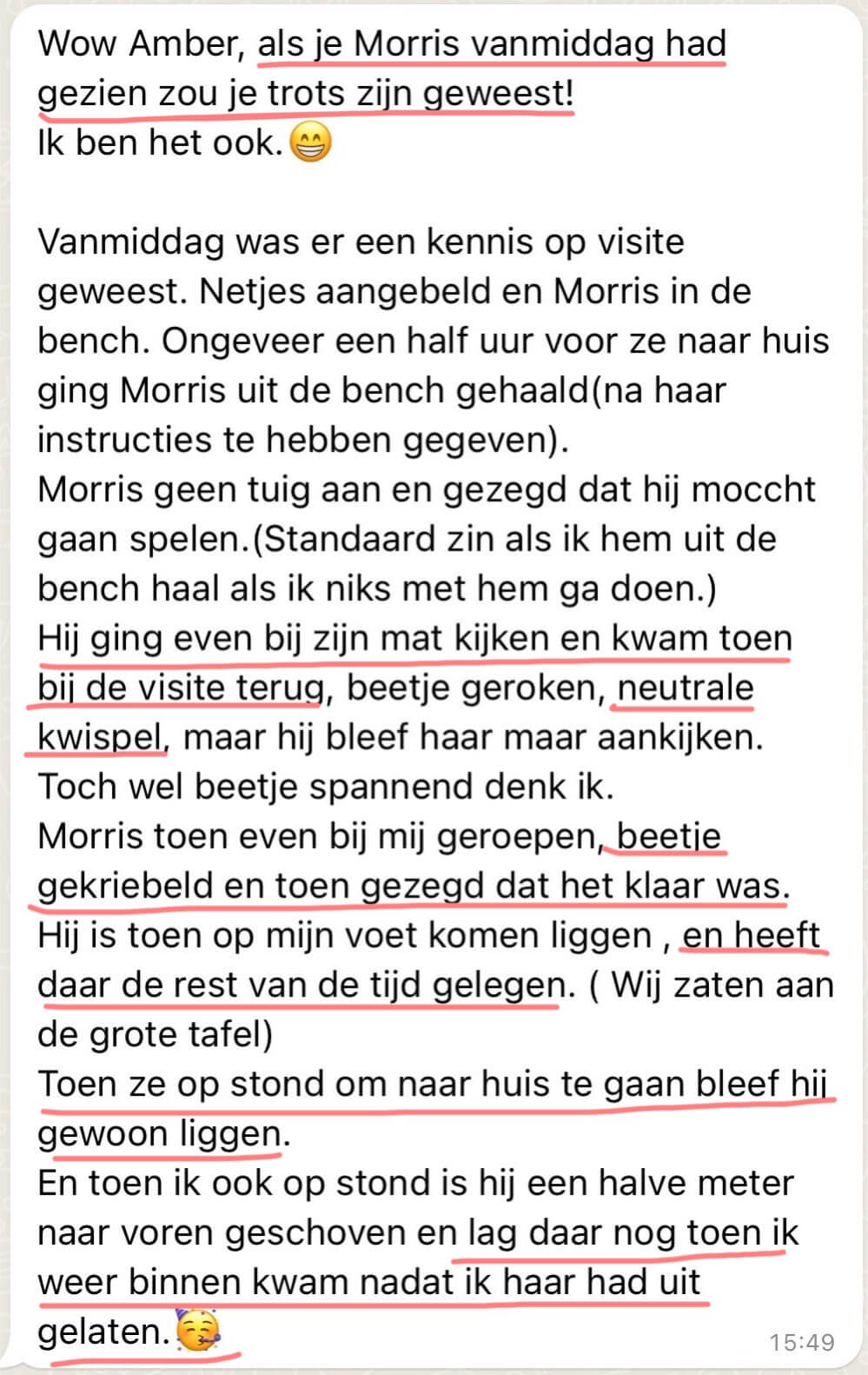 Succesverhaal bezoek begroeten met hond  Morris