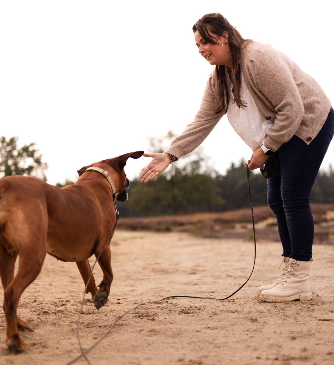 In vrijheid wandelen met je hond