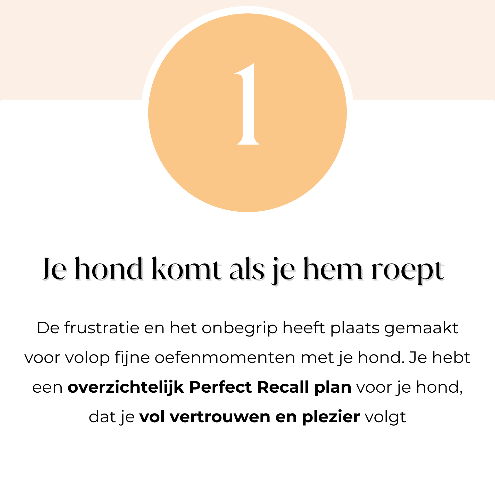 Je hond komt als je hem roept