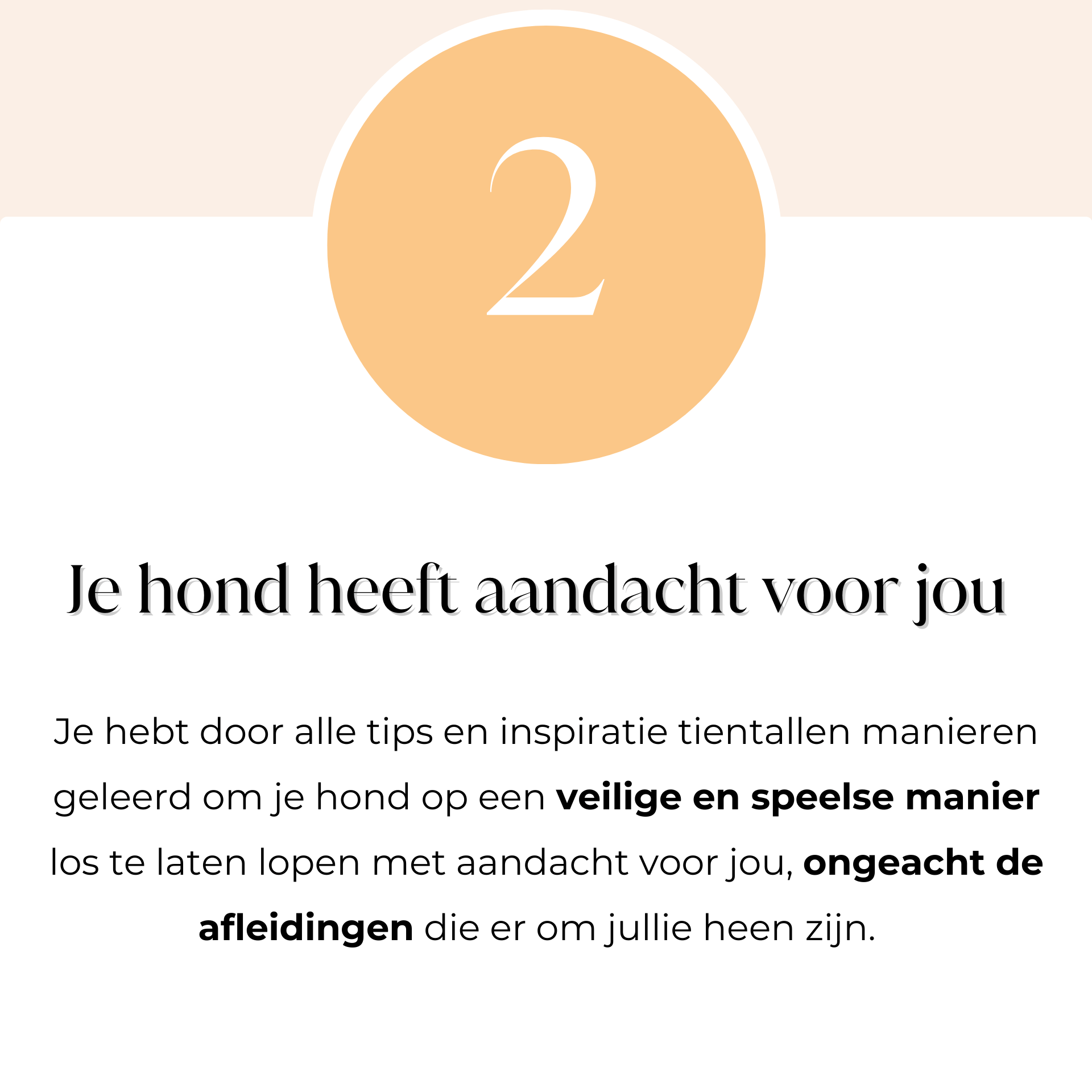 Je hond heeft aandacht voor jou