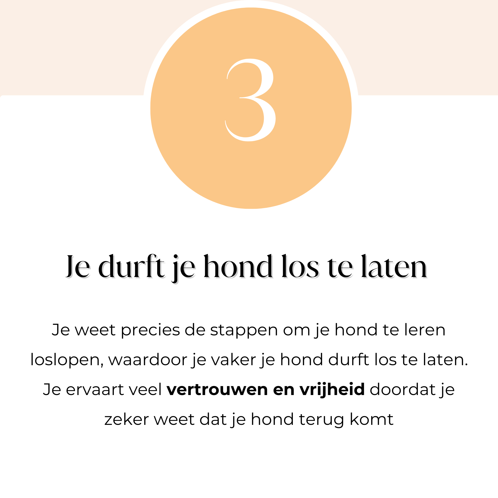 Je durft je hond los te laten