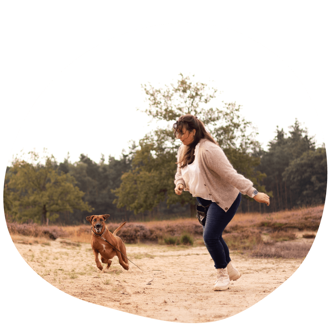 Op een spelenderwijze manier je hond terugroepen