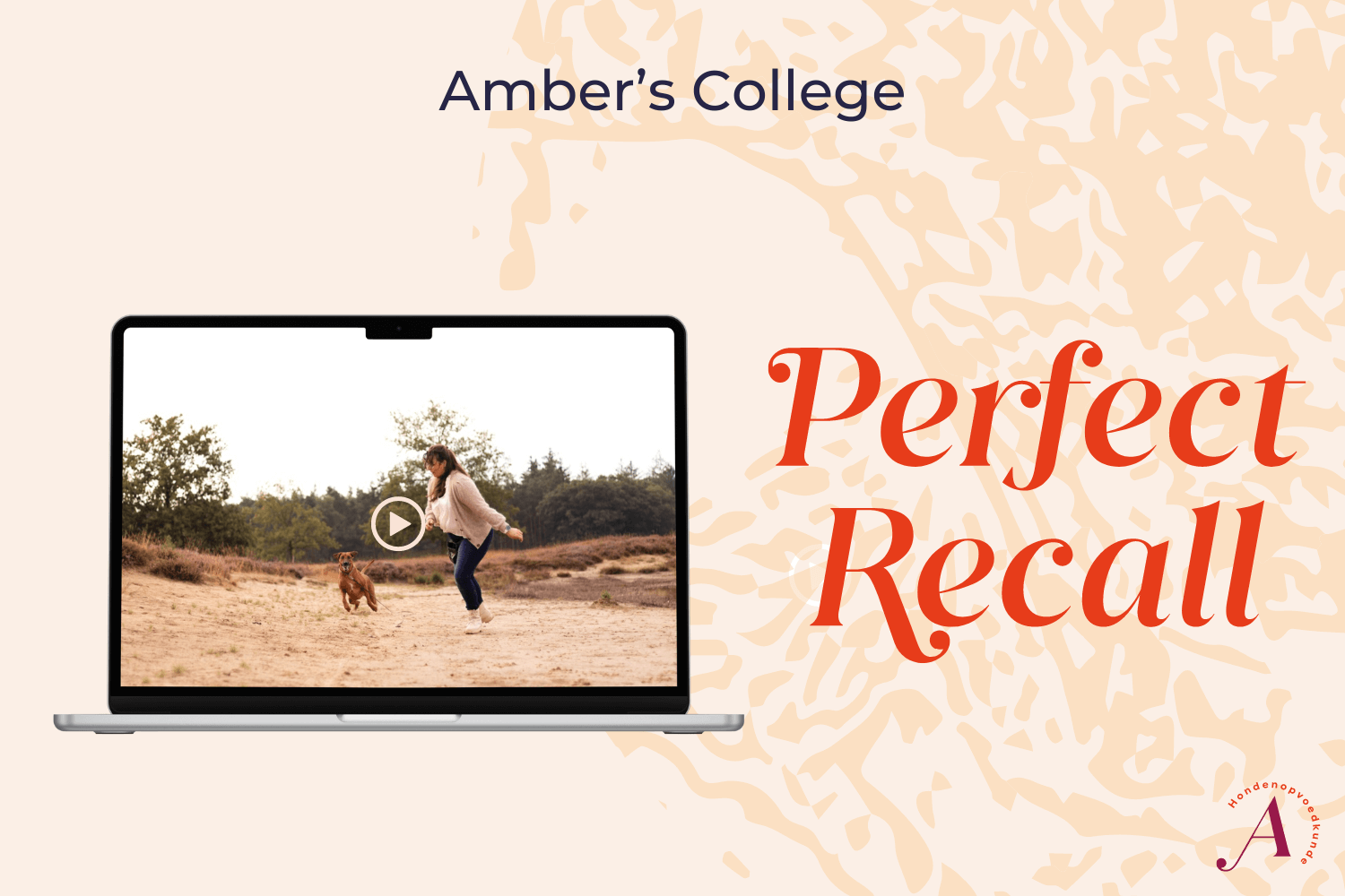 Amber's College Perfect Recall